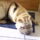 Fenykepek0068_558716_17550_t