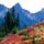 Mount_rainer-001_558418_56283_t