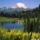 Mount_rainer-003_558423_24245_t