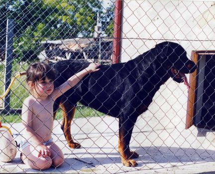 gyerek és a kutya barátsága