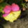 Szep_8_559867_55367_t
