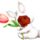 Boginyuszi_550148_26728_t