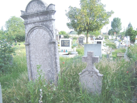 Kép 040