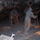 Kep_270_55370_294212_t