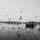 Madarak_4_505602_91292_t