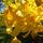 Rod19_55417_693793_t