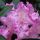 Rod22_55420_723063_t