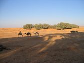 Tunéziai sivatag