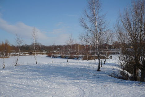 tél a tónál 2010.02.02