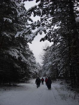 Téli séta az Alföldi - kéken Ásotthalom -12 km -037