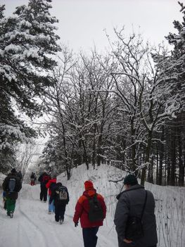 Téli séta az Alföldi - kéken Ásotthalom  -12 km -033