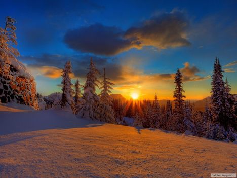 Mount Rainier Nemzeti Park