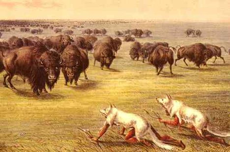buffalohuntwolfskin1830catlin