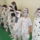 Farsang_8-002_566183_91877_t