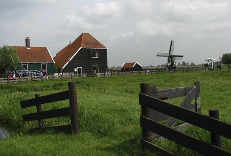 Hollandia 23