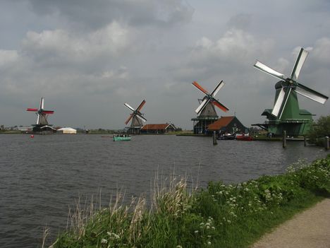 Hollandia 26