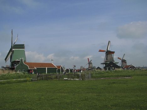 Hollandia 9