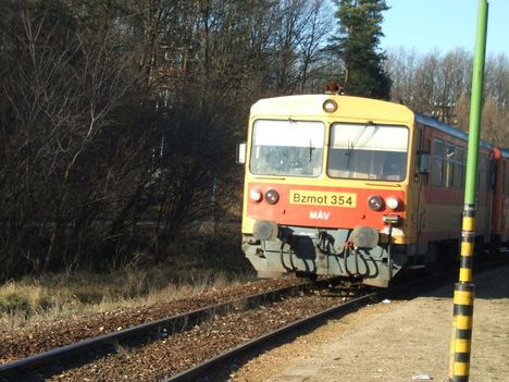 Bakonyi kirándulás, Cuha-völgy 20