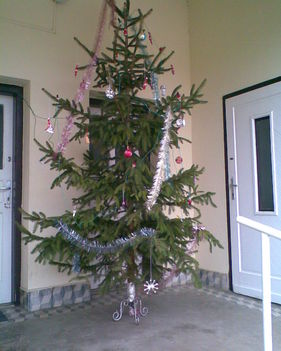 2009 Karácsony:  A faluközösség karácsonyfája