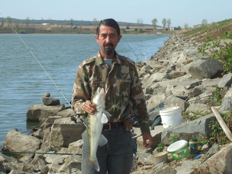hogászat romániában 1