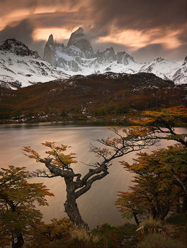 Autumn-in-Patagonia-MAG1