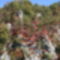 Az őszülő Plitvice. 3