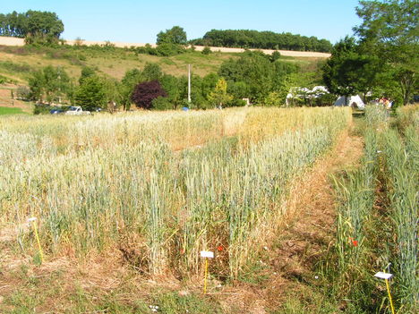 francia biogazdaság 5
