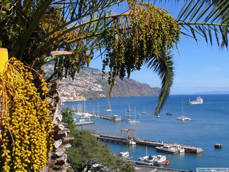 Funsal kikötője, Madeira, Portugália