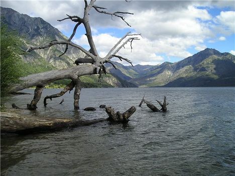 Patagonia_Argentina_lake-976n