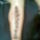 Betags_tattoo_freestyle_1_munka_utani_kep_573240_78384_t