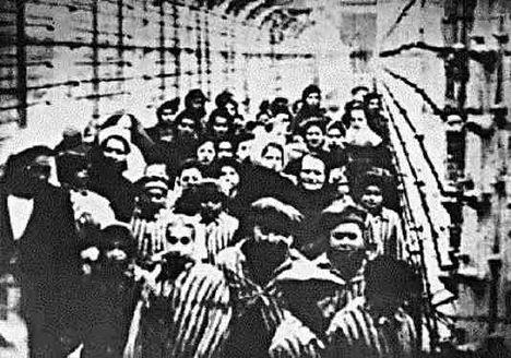 A felperesek szerint a MÁV közreműködése nélkül nem lehetett volna elszállítani zsidók százezreit a haláltáborokba