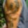 Dsc00228_kinai_sarkany_575792_83165_t