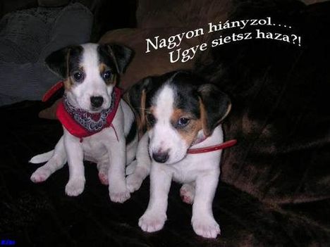 nagyon hiányzol