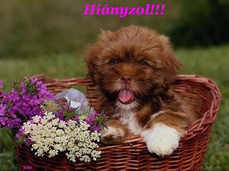 nagyon hiányzol