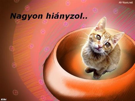 nagyon hiányzól