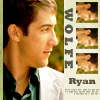 Ryan Wolfe