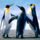 Penguins_577433_35175_t