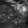 Cimg0493_578968_83689_t