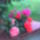 4__terasz7_585394_64872_t