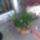 4_terasz8_585401_44300_t