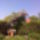 5__kert12_585413_24484_t
