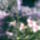5__kert16_585417_85839_t