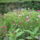 5__kert3_585404_49189_t