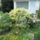 5__kert5_585406_89124_t
