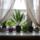 Nappali_szoba_ablaka_585022_22174_t