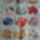 Rr_viragaim_585356_50474_t