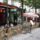 20070922_105145_parizs_588238_54163_t