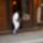 20070922_112653_parizs_588267_35195_t