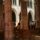 20070922_115816_parizs_588325_11065_t