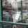 20070922_120240_parizs_588334_33399_t